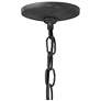 7_Hinkley Cape Cod 11" Wide Aged Zinc Outdoor Hanging Light more views