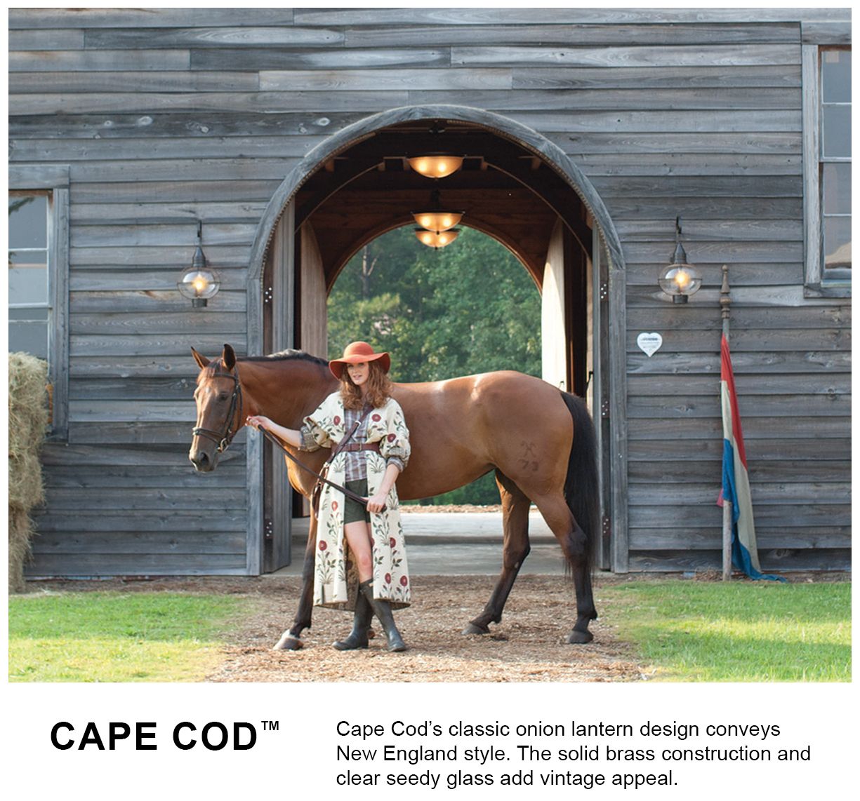 Hinkley Cape Cod 11" Wide Aged Zinc Outdoor Hanging Light