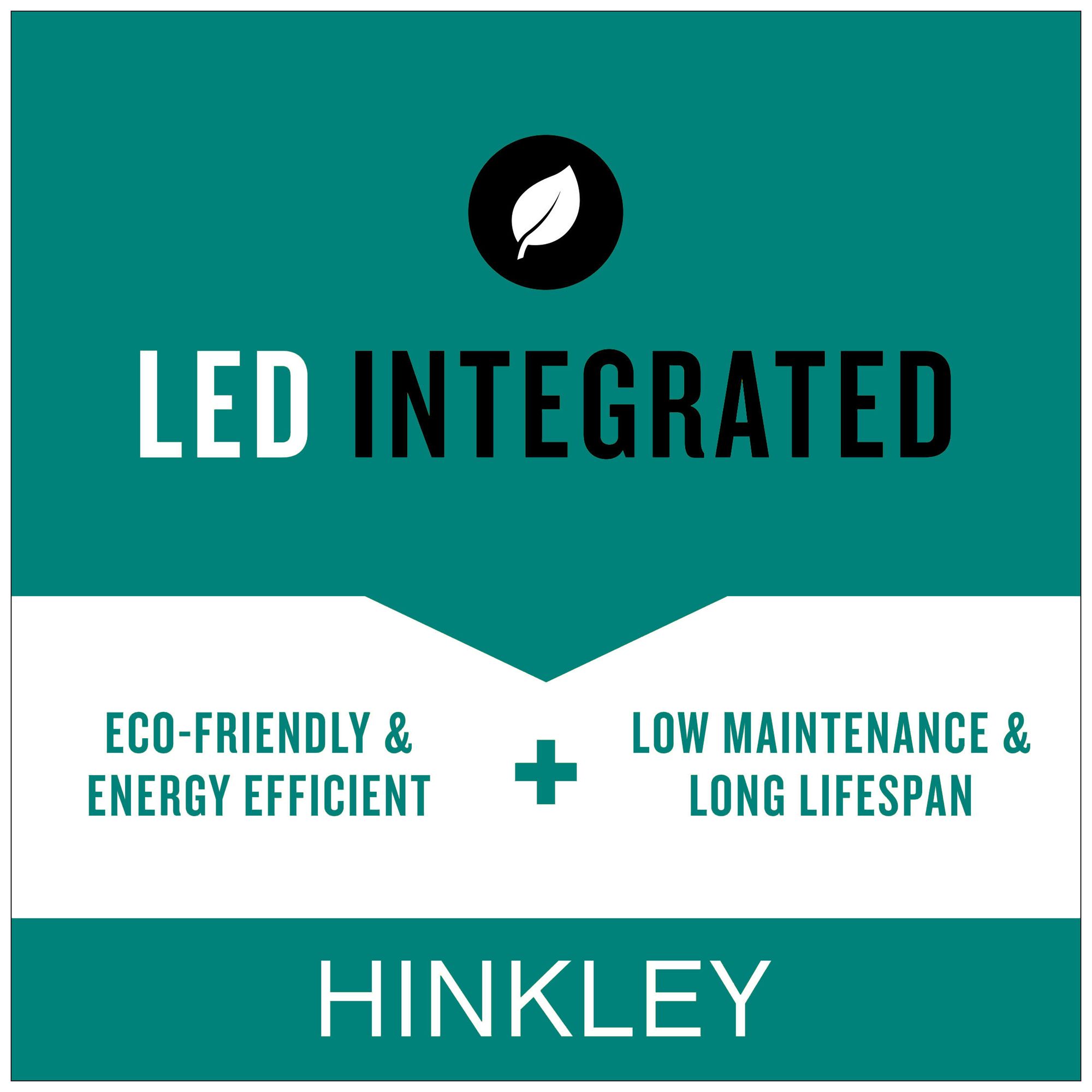 Hinkley Carson 18 3/4"H Vintage Iron Outdoor Hanging Light