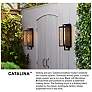 Hinkley Catalina 16" High Black and Clear Glass Outdoor Wall Light