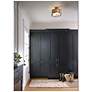 4_Hinkley Chance Collection 14 1/4" Wide Blackened Brass Ceiling Light more views