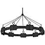 2_HINKLEY CHANDELIER RAFFI Large LED Single Tier Chandelier Carbon Black more views