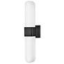 2_Hinkley Cotes 21"H Painted Black Oxide 2-Light Wall Sconce more views