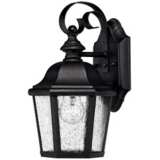 Hinkley Edgewater Black 11&quot; High Outdoor Wall Light
