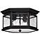 Hinkley Edgewater Collection 13" Wide Black Ceiling Light