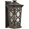 Hinkley Enzo 10" Wide Autum Outdoor Wall Light