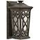 Hinkley Enzo 8" Wide Autum Outdoor Wall Light