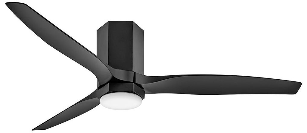 HINKLEY Facet Black Collection