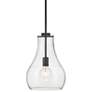 1_Hinkley Frankie 10" Wide Black Teardrop Mini Pendant