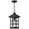 Hinkley Freeport 14" High Black Outdoor Lantern Hanging Light