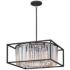 Hinkley Giada 24" Wide Black and Crystal Pendant Chandelier