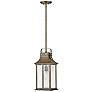 1_Hinkley Grant 19 3/4" High Bronze Outdoor Hanging Light