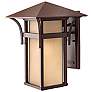 Hinkley Harbor Collection 16 1/4" High Outdoor Wall Light