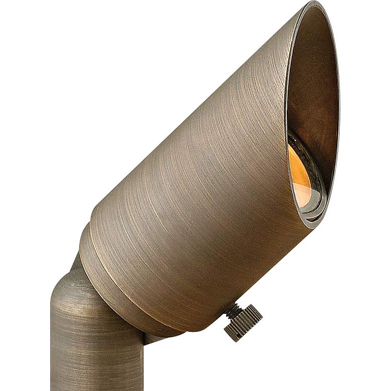 Image 2 Hinkley Hardy Island 2 1/2" High Bronze Outdoor Spot Light