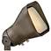 Hinkley Hardy Island Matte Bronze LED Accent Flood Light