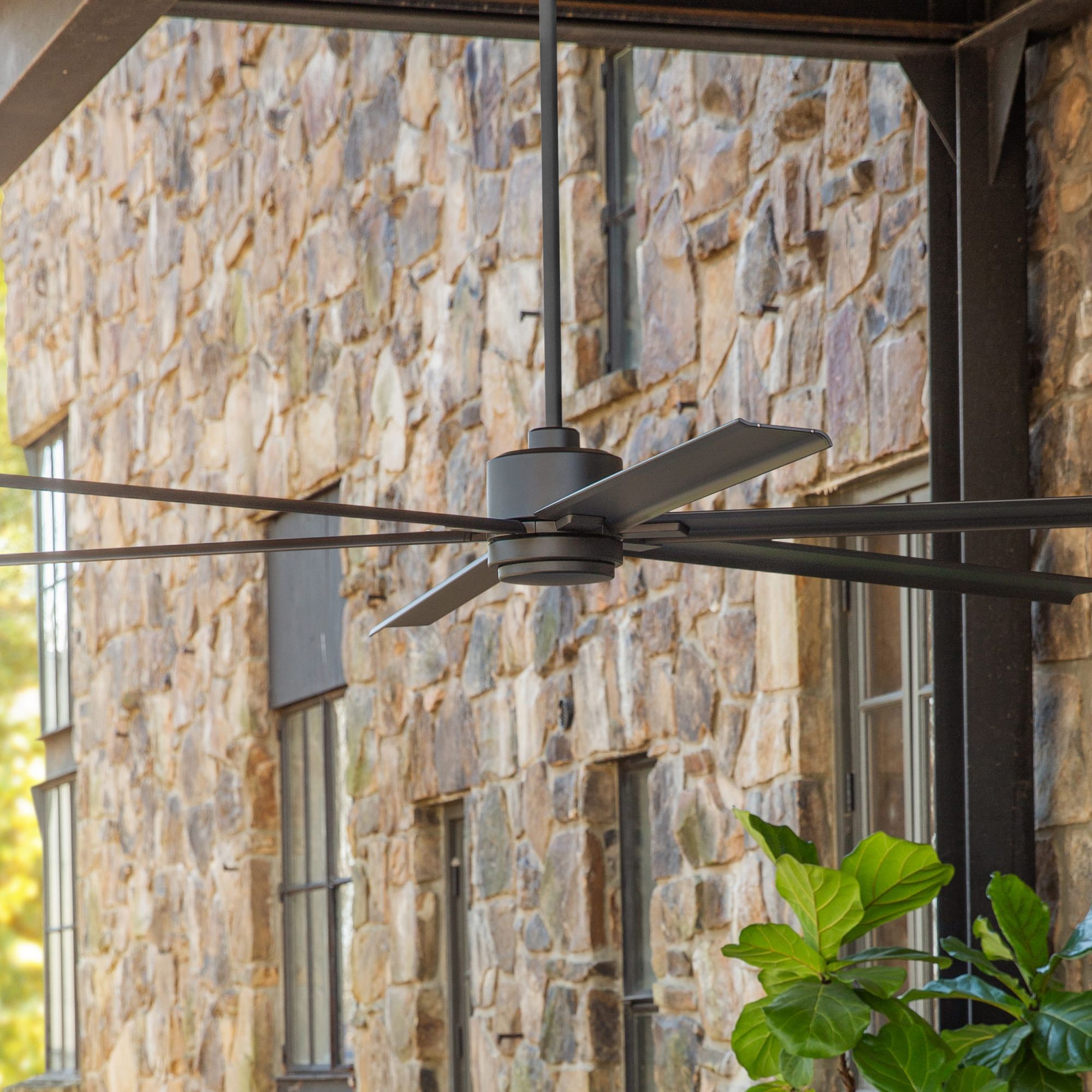 Hinkley Indy Black Collection