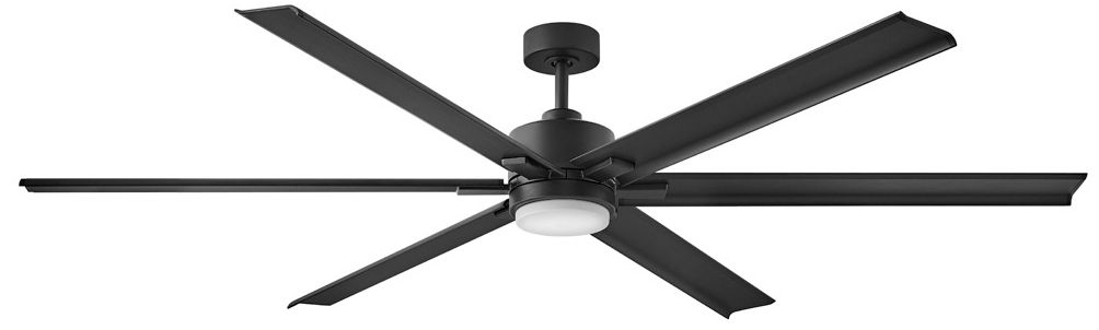 Hinkley Indy Black Collection