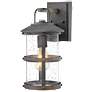 Hinkley Lakehouse 14 1/2" Zinc and Seeded Glass Outdoor Wall Light