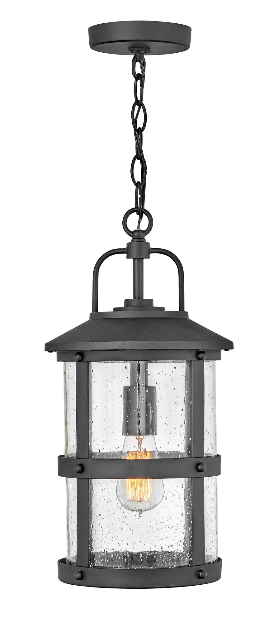 Image 2 Hinkley Lakehouse 17 3/4" High Black Outdoor Hanging Light more views
