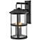 Hinkley Lakehouse 24" High Black 3-Light Outdoor Wall Light