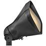 6_Hinkley - Landscape Accent Flood Lumacore- LED 12W 3000K 12V- Satin Black more views