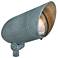 HINKLEY LANDSCAPE ACCENT SPOT LIGHT Small 120v Spot Light Verde