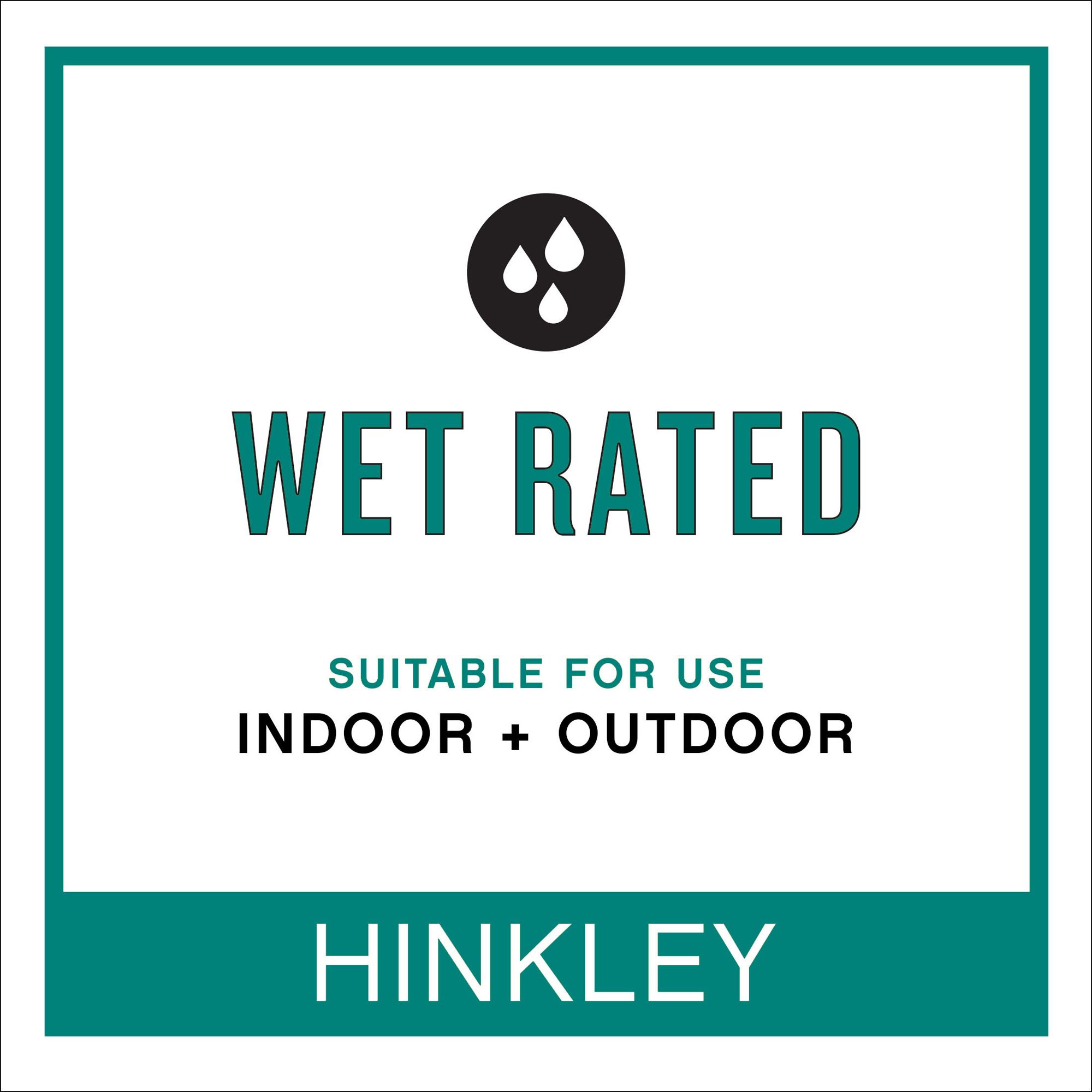Hinkley Landscape Hardy Island 12V Well Light 3.75" Matte Bronze