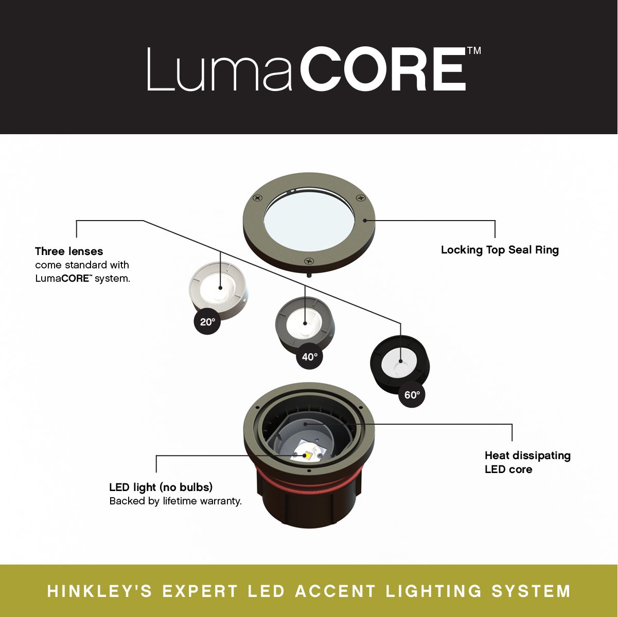 Hinkley Landscape Hardy Island 12V Well Light 3.75" Matte Bronze