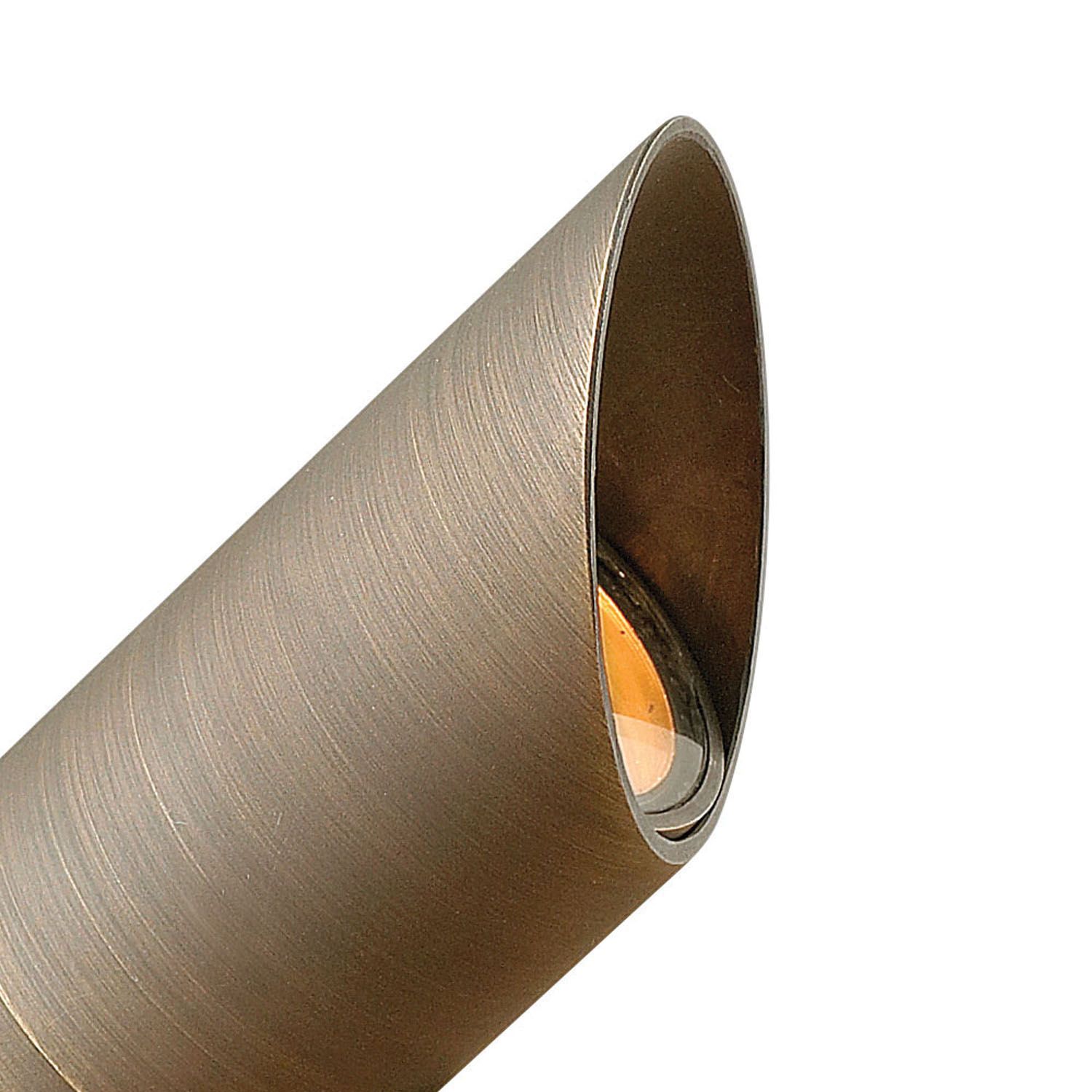 Image 5 Hinkley Landscape Hardy Island Spot Light 12V MR8 4.75" Matte Bronze more views