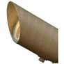 4_Hinkley Landscape Hardy Island Spot Light LED 4W MR16 5.75" Matte Bronze more views
