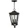 Hinkley Lincoln 8 1/2" Wide Bronze Outdoor Hanging Light