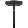 Hinkley Lisa McDennon Luca 60" Wide Black 8-Light Pendant