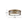 3_Hinkley Lowell 16" Wide Brushed Bronze 3-Light Ceiling Light more views