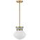 Hinkley Lucy 10" Wide Lacquered Brass Mini Pendant