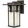 Hinkley Manhattan 15" High Seedy Glass and Bronze Outdoor Wall Light
