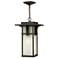 Hinkley Manhattan 19 1/4" High Bronze Outdoor Hanging Light