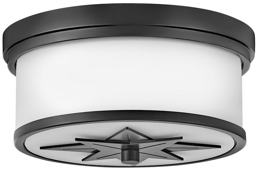 Image Hinkley Montrose Star 12" Wide Black and White Ceiling Light