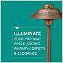6_Hinkley Oath 17"H Olde Copper LED Landscape Path Light more views