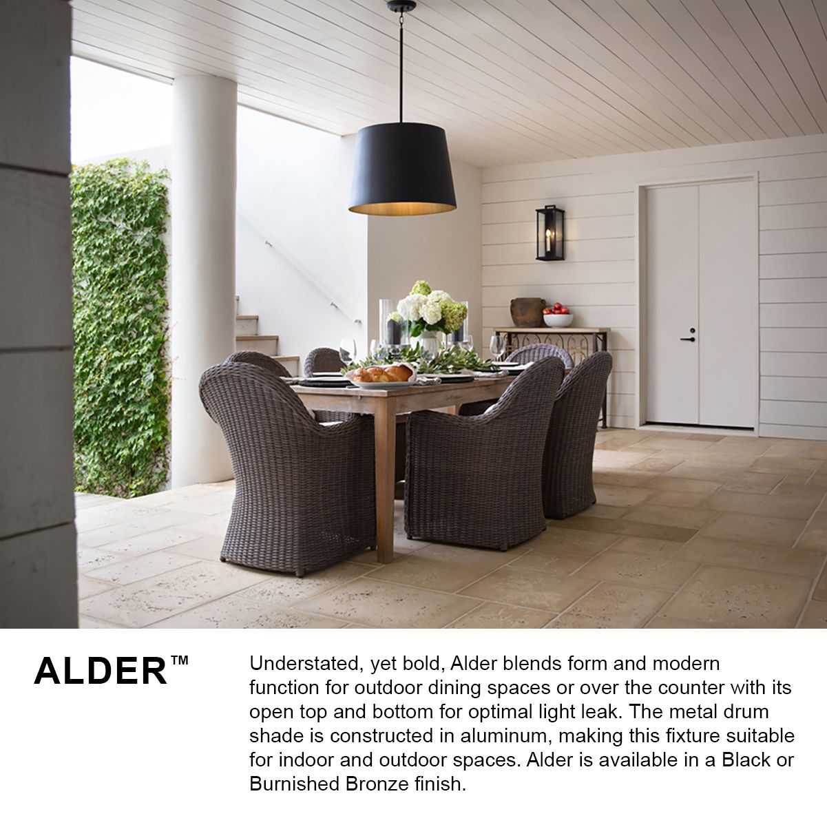 HINKLEY OUTDOOR ALDER Medium Hanging Pendant Burnished Bronze