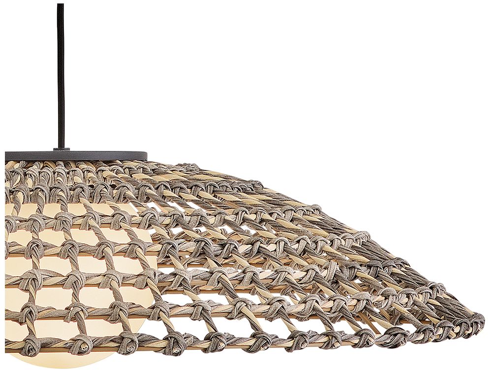 Image 7 Hinkley Outdoor Arlen Large Hanging Pendant 12V 30" Black more views