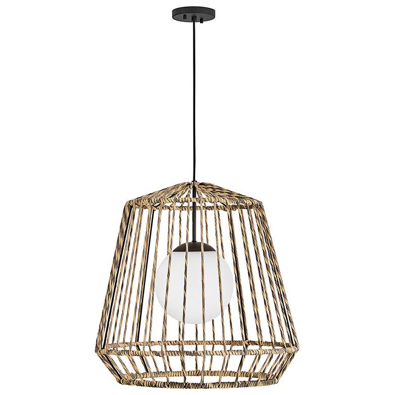 Image 2 Hinkley Outdoor Arlen Large Hanging Pendant 24" Black more views