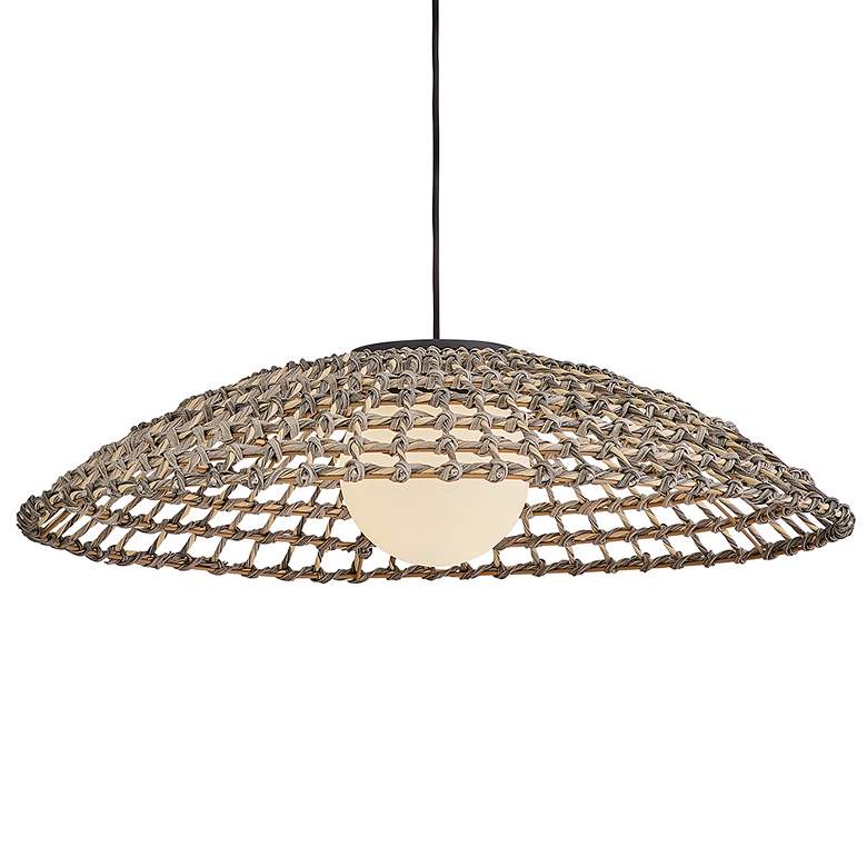Image 4 Hinkley Outdoor Arlen Large Hanging Pendant 30" Black more views