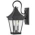 Hinkley - Outdoor Chapel Hill Medium Wall Mount Lantern- Museum Black