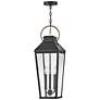 2_Hinkley - Outdoor Dawson Large Hanging Lantern- Black/Burnished Bronze more views