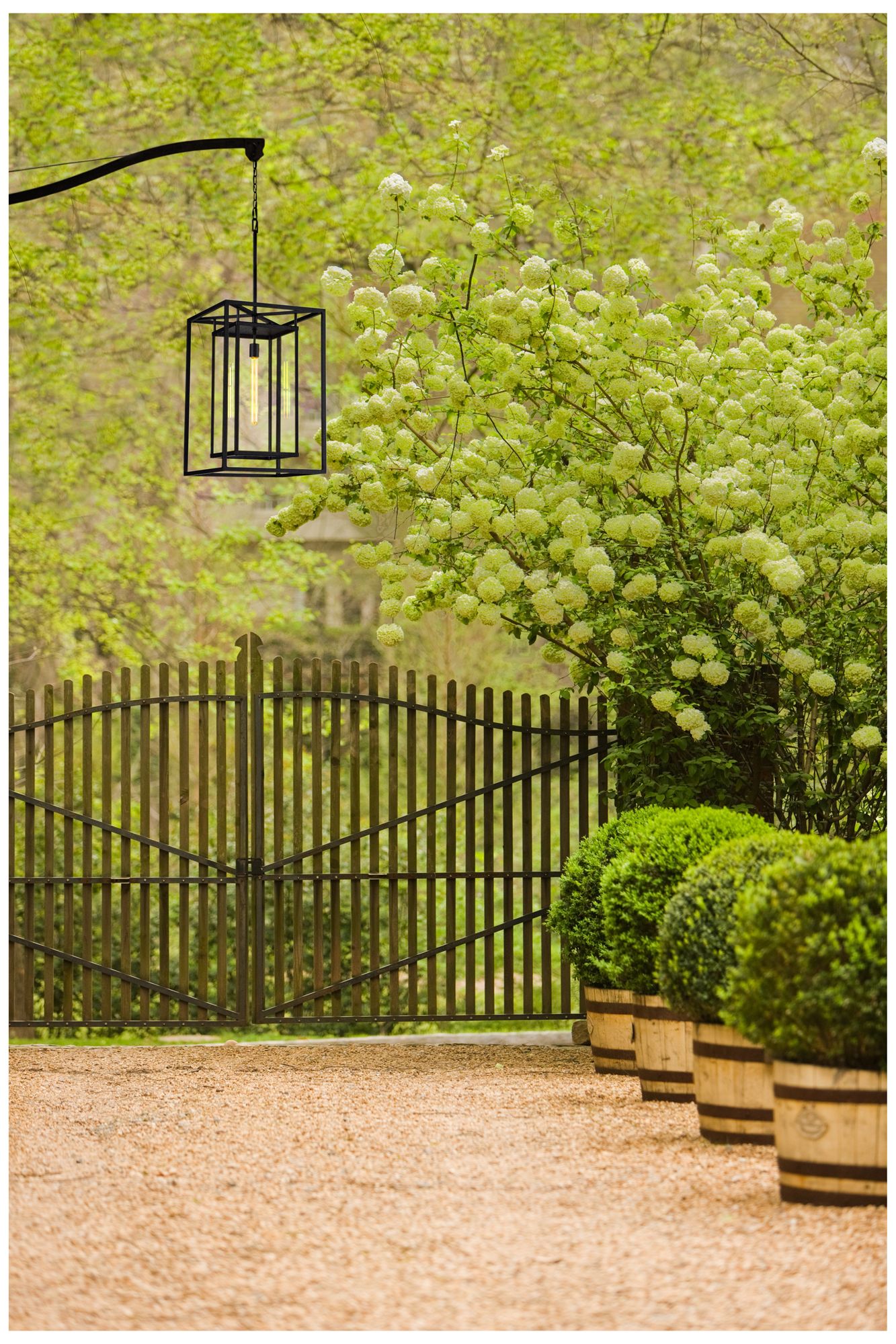 Hinkley Outdoor Max Extra Large Hanging Lantern 12V 40.75" Burnished Bronze