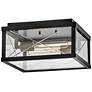 2_Hinkley Outdoor Monte Small Flush Mount Black more views