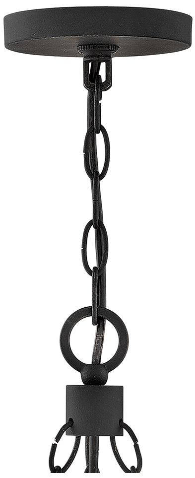 Image 4 Hinkley Outdoor Sawyer Medium Single Tier Chandelier 12V 24" Black more views