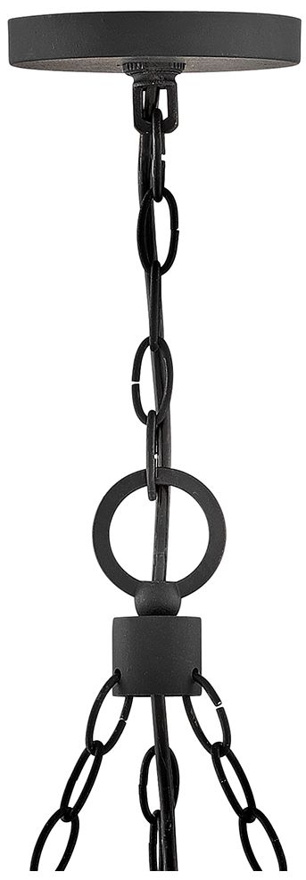 Image 4 Hinkley Outdoor Sawyer Medium Single Tier Chandelier 12V 30" Black more views