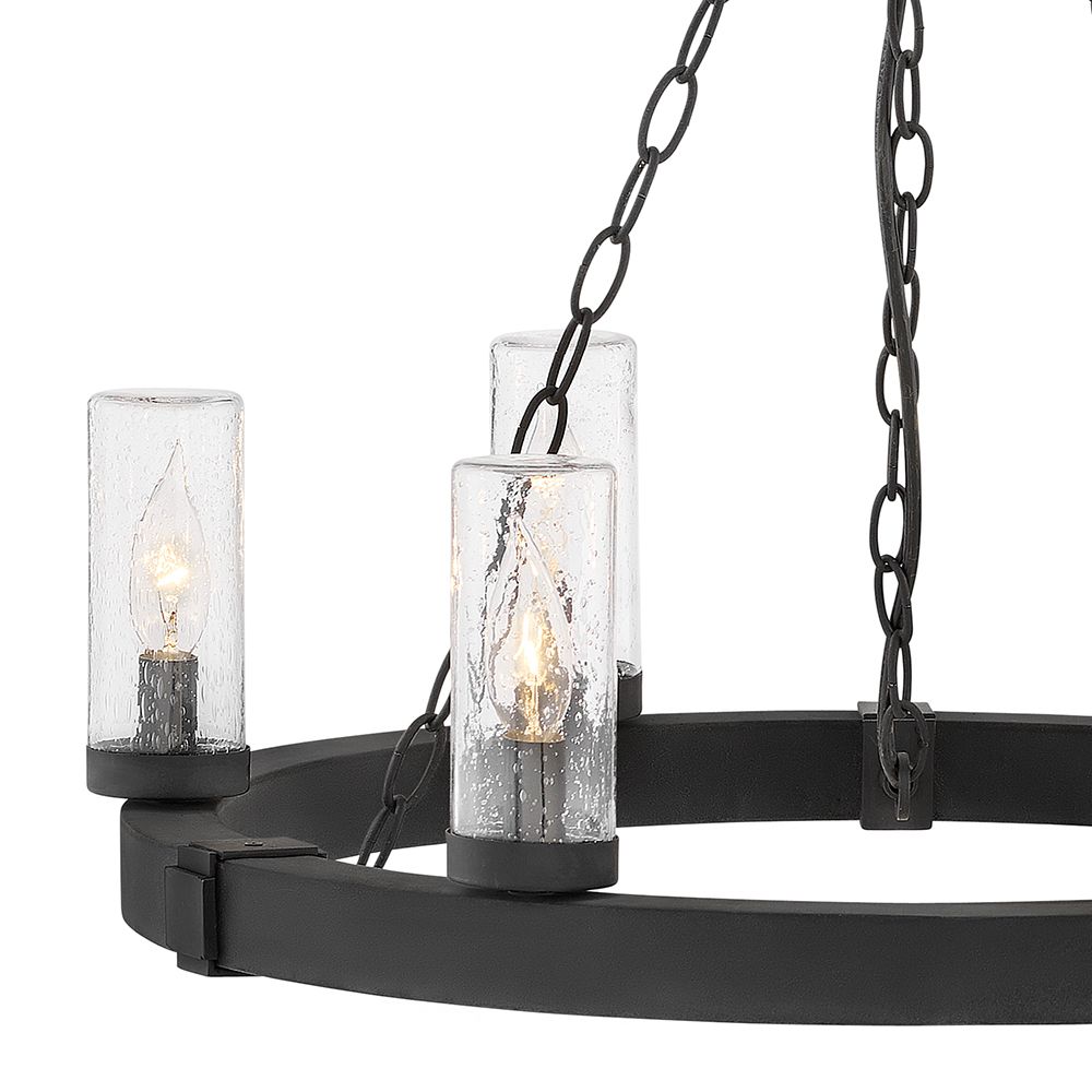 Image 4 Hinkley Outdoor Sawyer Medium Single Tier Chandelier 24" Black more views