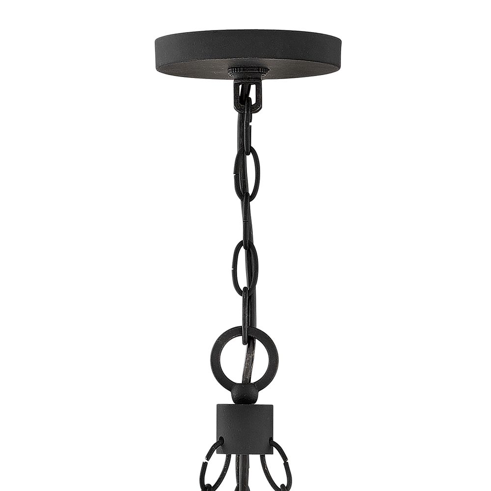 Image 6 Hinkley Outdoor Sawyer Medium Single Tier Chandelier 24" Black more views